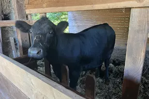 21076 NW Green Mountain Rd, Banks, OR 97106 - Photo 4