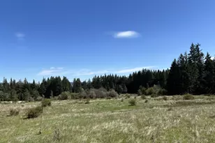 Cooke Rd, White Salmon, WA 98672 - Photo 1