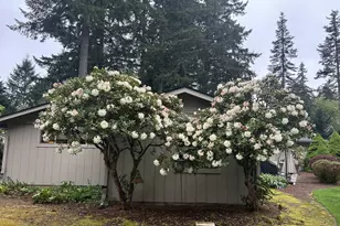 26605 NE 96th Ct, Battle Ground, WA 98604 - Photo 46