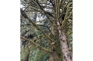 82467 Crowder Rd, Seaside, OR 97138 - Photo 16