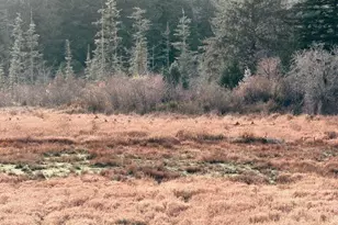 58894 Old Railroad Grade Rd, Coquille, OR 97423 - Photo 46