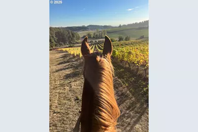 11825 NE Finn Hill Loop, Carlton, OR 97111 - Photo 48