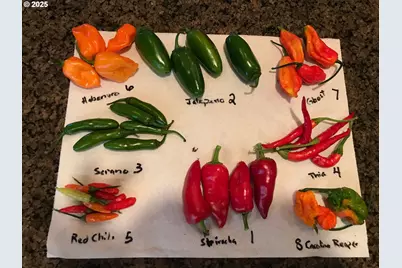 11825 NE Finn Hill Loop, Carlton, OR 97111 - Photo 30