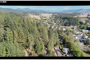 311 Spaulding Ave, Brownsville, OR 97327 - Photo 40