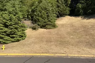Kalapuya Way, Cottage Grove, OR 97424 - Photo 1