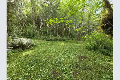 Rose Valley Rd, Kelso, WA 98626 - Photo 16