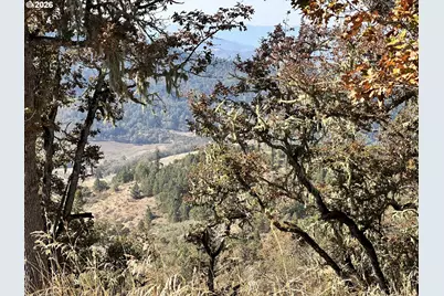 Buckhorn Rd, Roseburg, OR 97470 - Photo 32