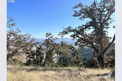 Buckhorn Rd, Roseburg, OR 97470 - Photo 34