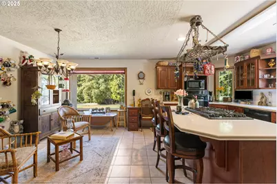 913 Starveout Creek Rd, Azalea, OR 97410 - Photo 8