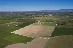 85598 Meissner Ln, Milton-Freewater, OR 97862 - Photo 6