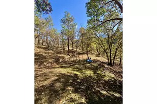 2263 Canyonville-Riddle Rd, Riddle, OR 97469 - Photo 20