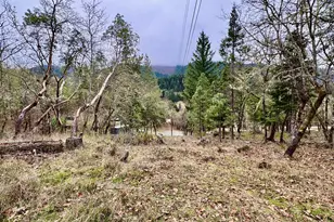 2263 Canyonville-Riddle Rd, Riddle, OR 97469 - Photo 30