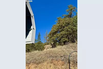 2263 Canyonville Riddle Rd, Riddle, OR 97469 - Photo 28