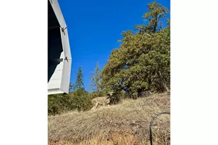 2263 Canyonville-Riddle Rd, Riddle, OR 97469 - Photo 28