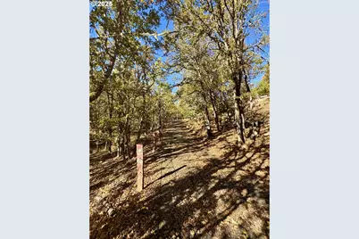 2263 Canyonville Riddle Rd, Riddle, OR 97469 - Photo 22