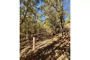 2263 Canyonville-Riddle Rd, Riddle, OR 97469 - Photo 22