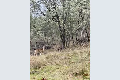 2263 Canyonville Riddle Rd, Riddle, OR 97469 - Photo 36