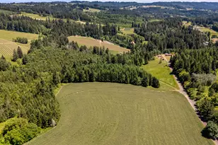 21950 NW Meier Rd, Hillsboro, OR 97124 - Photo 20