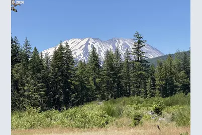 0 Lahar Ln #9, Cougar, WA 98616 - Photo 1