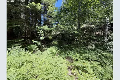 0 Lahar Ln #9, Cougar, WA 98616 - Photo 4
