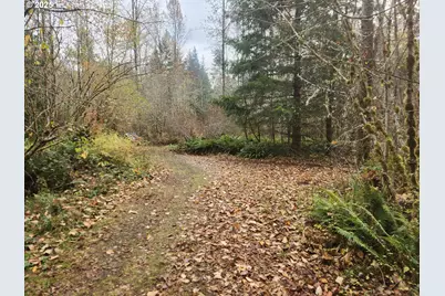 8974 Spirit Lake Hwy, Toutle, WA 98649 - Photo 32