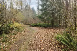 8974 Spirit Lake Hwy, Toutle, WA 98649 - Photo 32