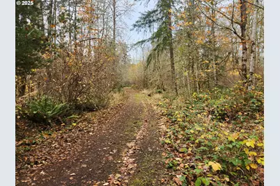 8974 Spirit Lake Hwy, Toutle, WA 98649 - Photo 14