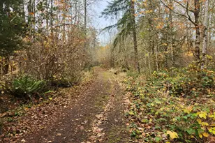 8974 Spirit Lake Hwy, Toutle, WA 98649 - Photo 14