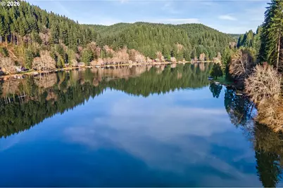 71381 Fishhawk Rd, Birkenfeld, OR 97016 - Photo 24