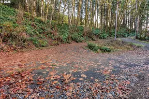 71381 Fishhawk Rd, Birkenfeld, OR 97016 - Photo 20