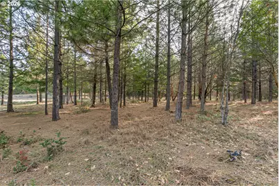 32916 Highway 62, Trail, OR 97541 - Photo 4