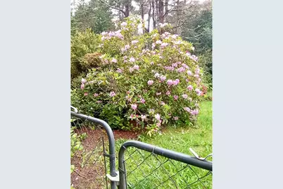 4826 Rhododendron Loop, Florence, OR 97439 - Photo 30