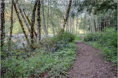 65582 E Timberline Dr, Rhododendron, OR 97049 - Photo 44