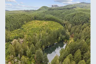 17411 NW Panther Creek Rd, Carlton, OR 97111 - Photo 10