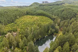 17411 NW Panther Creek Rd, Carlton, OR 97111 - Photo 10