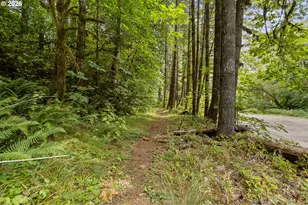 17411 NW Panther Creek Rd, Carlton, OR 97111 - Photo 40