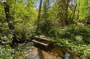 17411 NW Panther Creek Rd, Carlton, OR 97111 - Photo 36