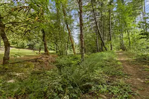 17411 NW Panther Creek Rd, Carlton, OR 97111 - Photo 34