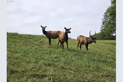 56100 High Point Rd, Otis, OR 97368 - Photo 40