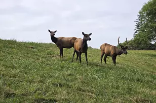 56100 High Point Rd, Otis, OR 97368 - Photo 40