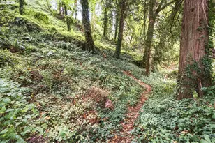 1090 NW 13th Ave, Canby, OR 97013 - Photo 46