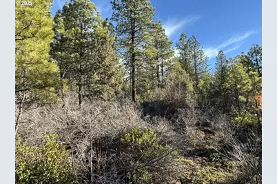 Hummingbird Dr #13, Bonanza, OR 97623 - Photo 2