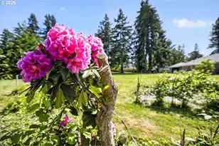 12550 SE 242nd Ave, Damascus, OR 97089 - Photo 14