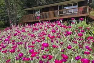 13710 SE Maloy Ln, Oak Grove, OR 97222 - Photo 2