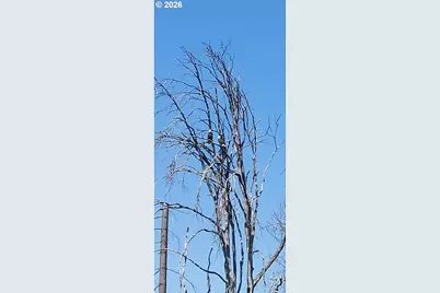 10855 Kubin Rd SE, Lyons, OR 97358 - Photo 22