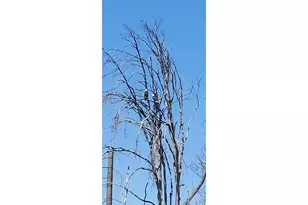 10855 Kubin Rd SE, Lyons, OR 97358 - Photo 22