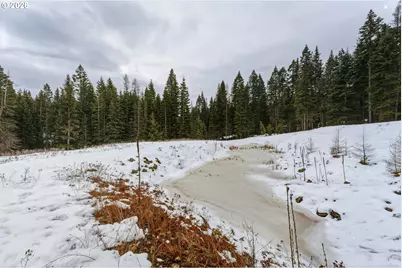 Highway 204, Weston, OR 97886 - Photo 10