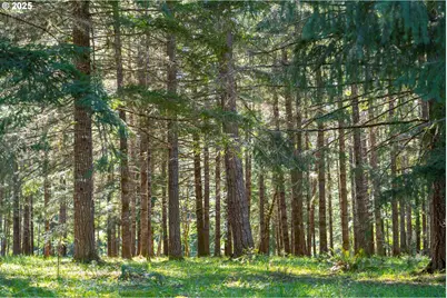 75325 Mosby Creek Rd, Cottage Grove, OR 97424 - Photo 44