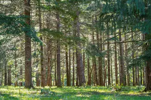 75325 Mosby Creek Rd, Cottage Grove, OR 97424 - Photo 44