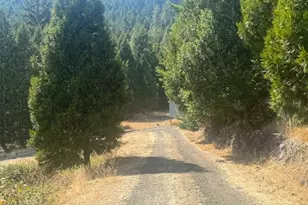 1604 Spring Brook Rd, Myrtle Creek, OR 97457 - Photo 34